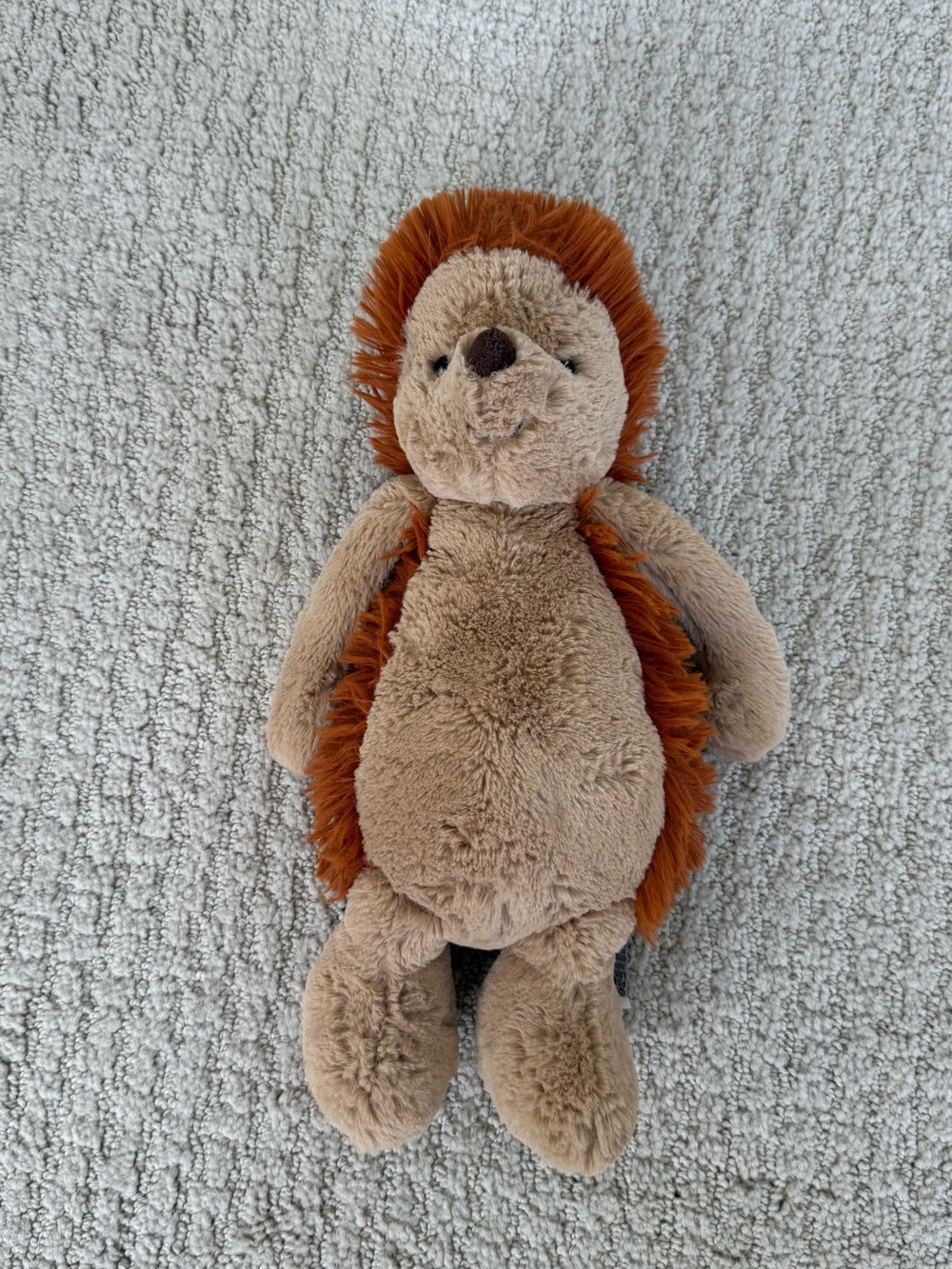 Jellycat Bashful Hedgehog NWOT